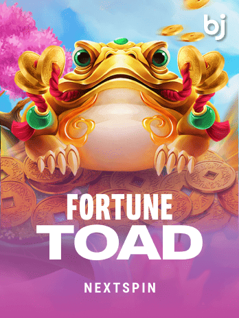 Fortune Toad game cover